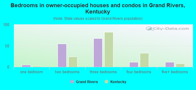 Bedrooms in owner-occupied houses and condos in Grand Rivers, Kentucky