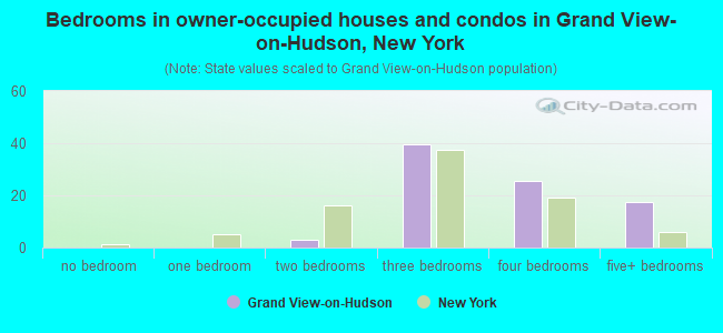 Bedrooms in owner-occupied houses and condos in Grand View-on-Hudson, New York