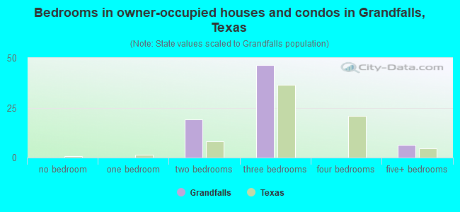 Bedrooms in owner-occupied houses and condos in Grandfalls, Texas