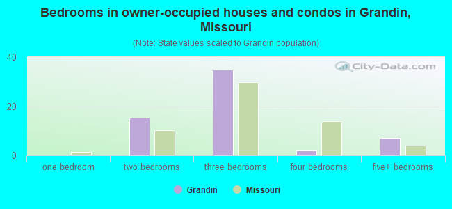 Bedrooms in owner-occupied houses and condos in Grandin, Missouri
