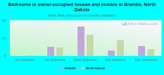 Bedrooms in owner-occupied houses and condos in Grandin, North Dakota