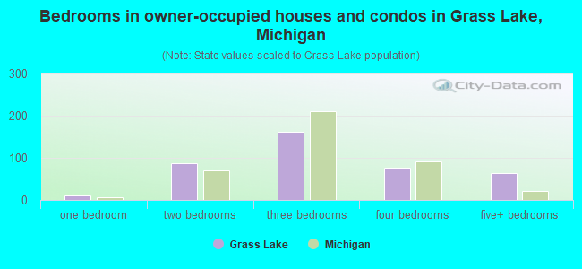 Bedrooms in owner-occupied houses and condos in Grass Lake, Michigan