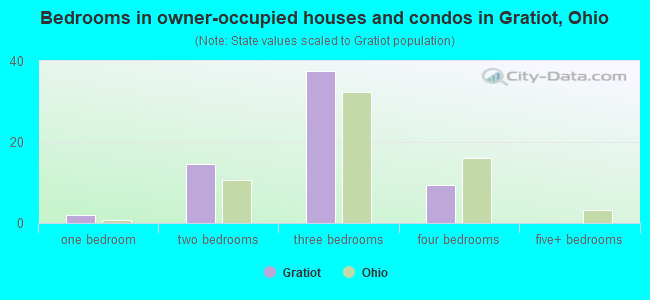Bedrooms in owner-occupied houses and condos in Gratiot, Ohio
