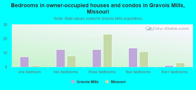 Bedrooms in owner-occupied houses and condos in Gravois Mills, Missouri