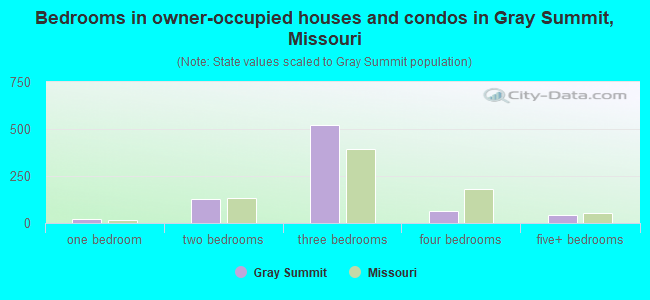 Bedrooms in owner-occupied houses and condos in Gray Summit, Missouri