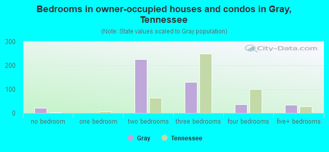 Bedrooms in owner-occupied houses and condos in Gray, Tennessee