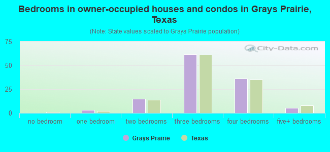 Bedrooms in owner-occupied houses and condos in Grays Prairie, Texas