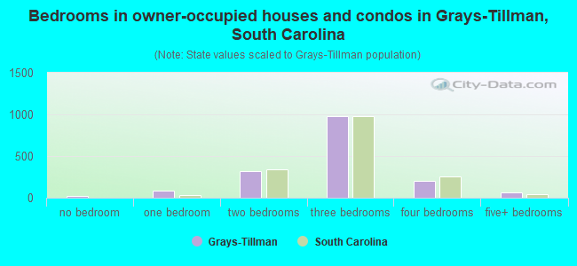 Bedrooms in owner-occupied houses and condos in Grays-Tillman, South Carolina