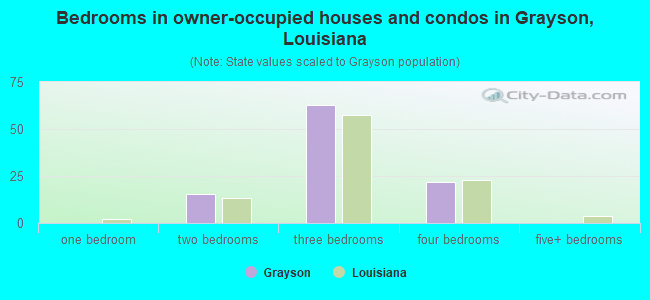 Bedrooms in owner-occupied houses and condos in Grayson, Louisiana