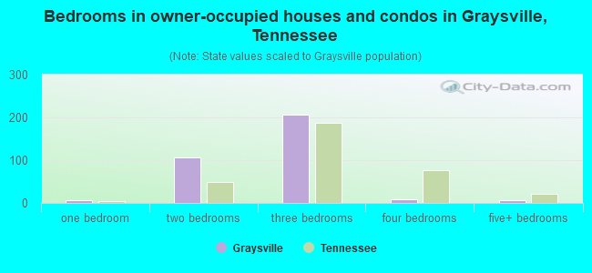 Bedrooms in owner-occupied houses and condos in Graysville, Tennessee