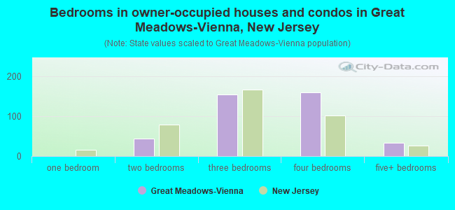 Bedrooms in owner-occupied houses and condos in Great Meadows-Vienna, New Jersey