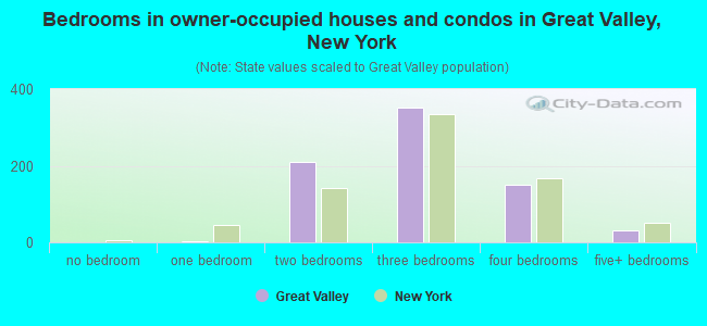 Bedrooms in owner-occupied houses and condos in Great Valley, New York