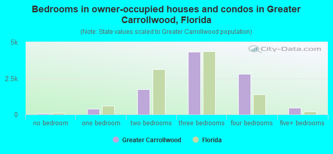 Bedrooms in owner-occupied houses and condos in Greater Carrollwood, Florida