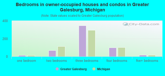 Bedrooms in owner-occupied houses and condos in Greater Galesburg, Michigan