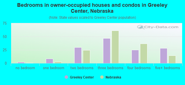 Bedrooms in owner-occupied houses and condos in Greeley Center, Nebraska