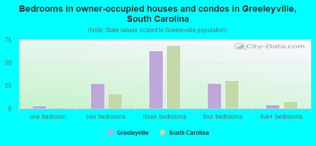 Bedrooms in owner-occupied houses and condos in Greeleyville, South Carolina