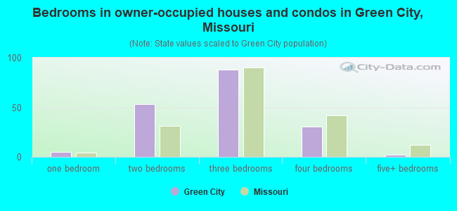 Bedrooms in owner-occupied houses and condos in Green City, Missouri
