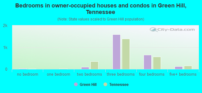 Bedrooms in owner-occupied houses and condos in Green Hill, Tennessee