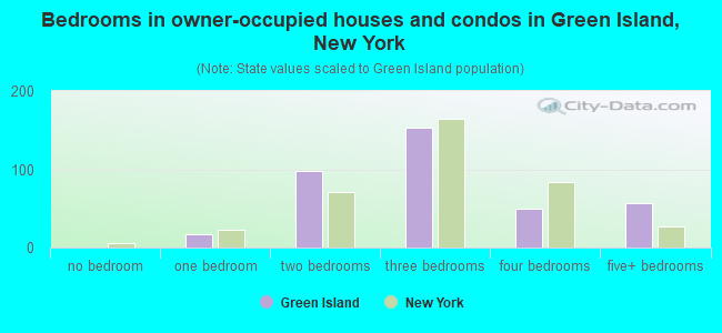 Bedrooms in owner-occupied houses and condos in Green Island, New York