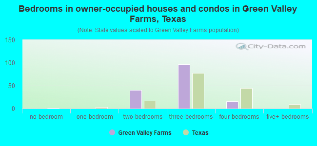 Bedrooms in owner-occupied houses and condos in Green Valley Farms, Texas