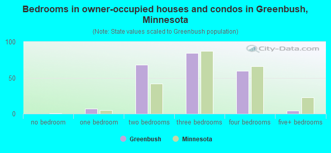Bedrooms in owner-occupied houses and condos in Greenbush, Minnesota