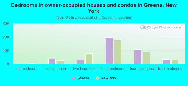 Bedrooms in owner-occupied houses and condos in Greene, New York