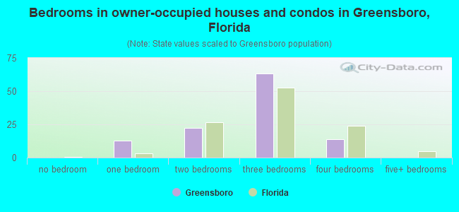 Bedrooms in owner-occupied houses and condos in Greensboro, Florida