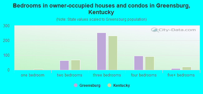 Bedrooms in owner-occupied houses and condos in Greensburg, Kentucky