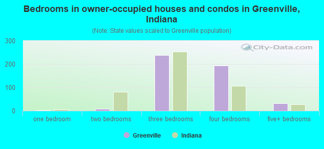 Bedrooms in owner-occupied houses and condos in Greenville, Indiana