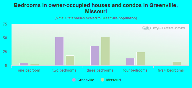 Bedrooms in owner-occupied houses and condos in Greenville, Missouri