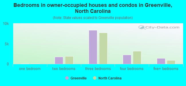 Bedrooms in owner-occupied houses and condos in Greenville, North Carolina