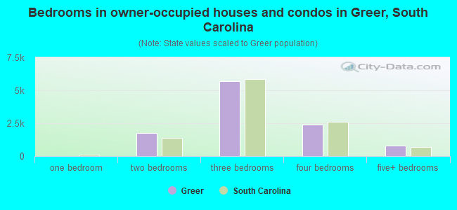 Bedrooms in owner-occupied houses and condos in Greer, South Carolina