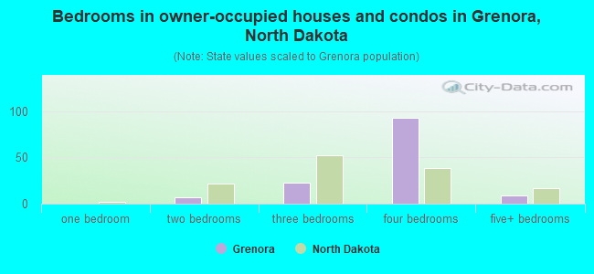 Bedrooms in owner-occupied houses and condos in Grenora, North Dakota