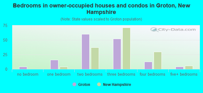 Bedrooms in owner-occupied houses and condos in Groton, New Hampshire