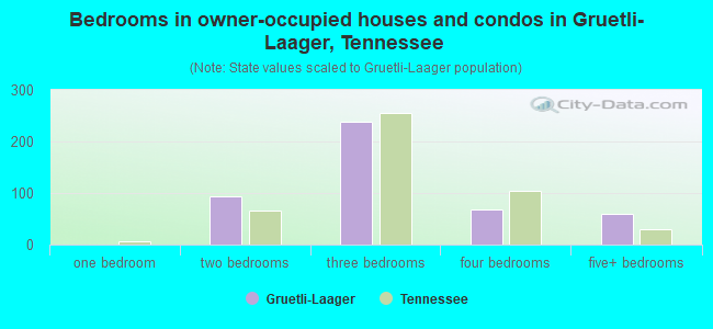 Bedrooms in owner-occupied houses and condos in Gruetli-Laager, Tennessee