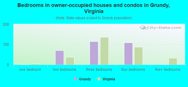 Bedrooms in owner-occupied houses and condos in Grundy, Virginia