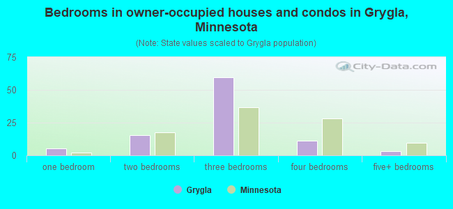 Bedrooms in owner-occupied houses and condos in Grygla, Minnesota