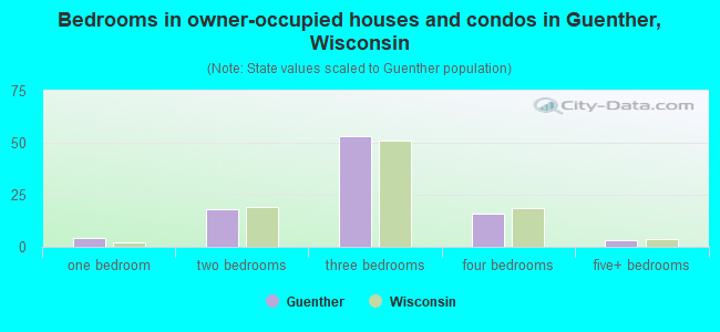 Bedrooms in owner-occupied houses and condos in Guenther, Wisconsin