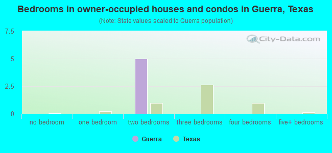 Bedrooms in owner-occupied houses and condos in Guerra, Texas