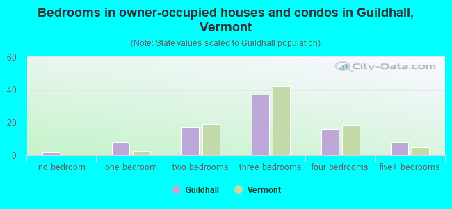 Bedrooms in owner-occupied houses and condos in Guildhall, Vermont