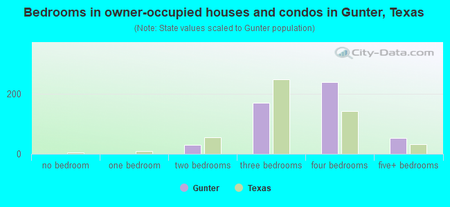 Bedrooms in owner-occupied houses and condos in Gunter, Texas