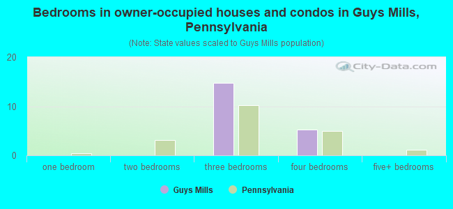 Bedrooms in owner-occupied houses and condos in Guys Mills, Pennsylvania