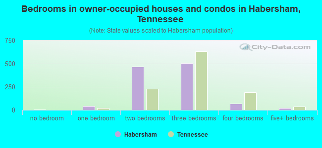 Bedrooms in owner-occupied houses and condos in Habersham, Tennessee