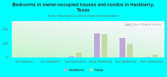Bedrooms in owner-occupied houses and condos in Hackberry, Texas