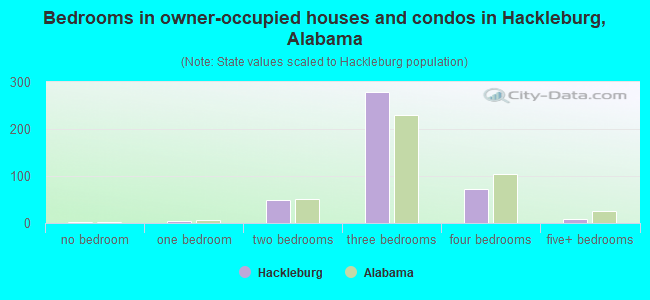 Bedrooms in owner-occupied houses and condos in Hackleburg, Alabama