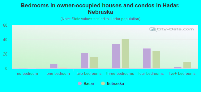 Bedrooms in owner-occupied houses and condos in Hadar, Nebraska