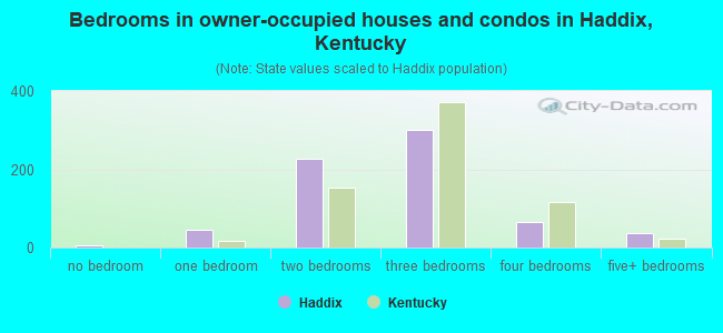 Bedrooms in owner-occupied houses and condos in Haddix, Kentucky