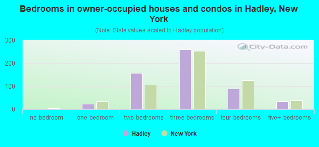 Bedrooms in owner-occupied houses and condos in Hadley, New York