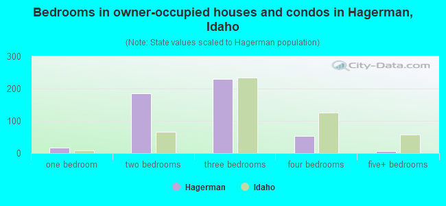 Bedrooms in owner-occupied houses and condos in Hagerman, Idaho