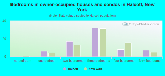 Bedrooms in owner-occupied houses and condos in Halcott, New York